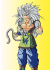 sangoku ss5